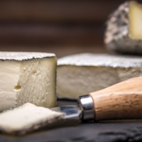 ACSCCSEDirectory Promo