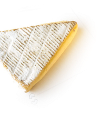 Homepage welcome copy left cheese